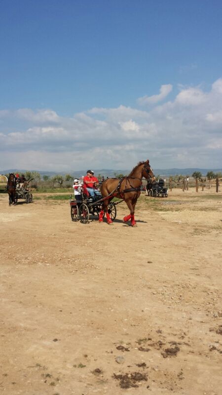Inicio de la temporada de enganches